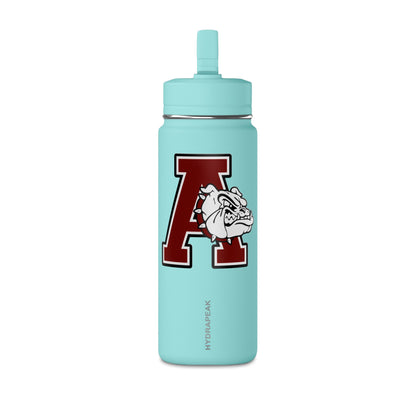 Mini Water Bottle, 20oz