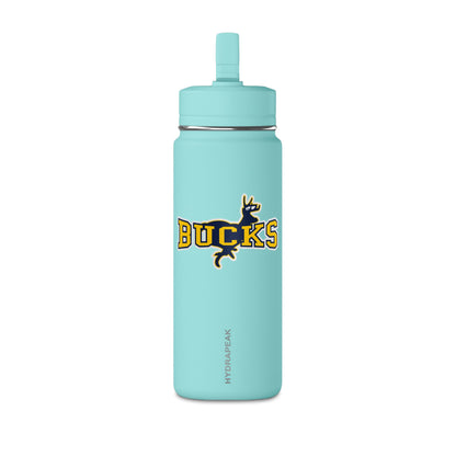 Mini Water Bottle, 20oz