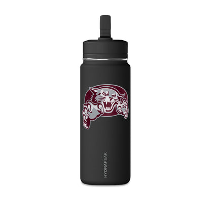 Mini Water Bottle, 20oz