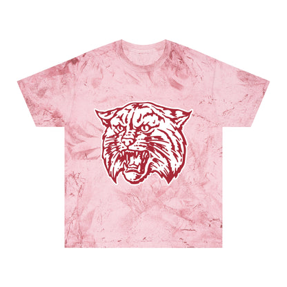 Color Blast School Spirit Tee