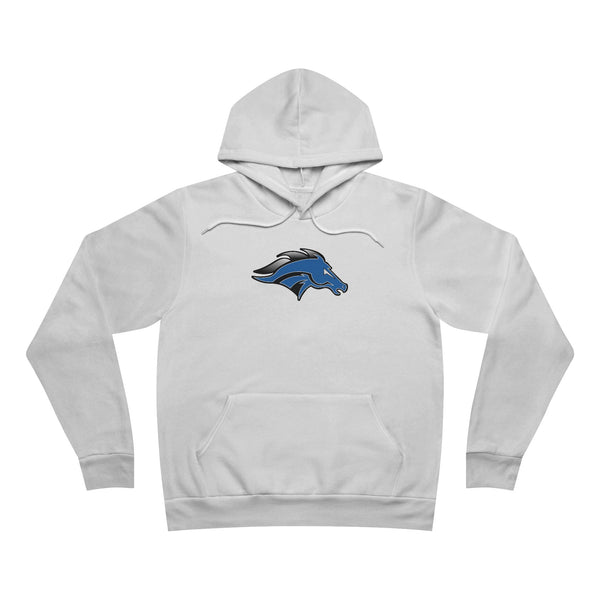 Sponge Fleece Pullover Hoodie