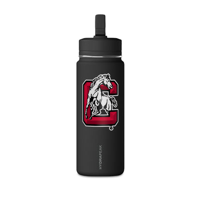 Mini Water Bottle, 20oz