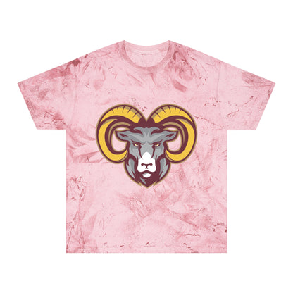 Color Blast School Spirit Tee