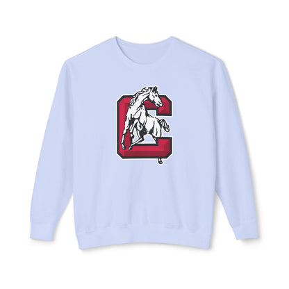 Lightweight Crewneck Sweatshirt