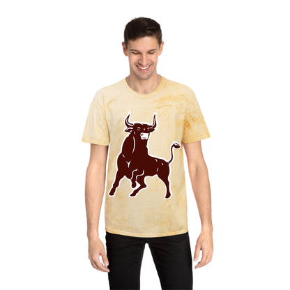 Color Blast School Spirit Tee