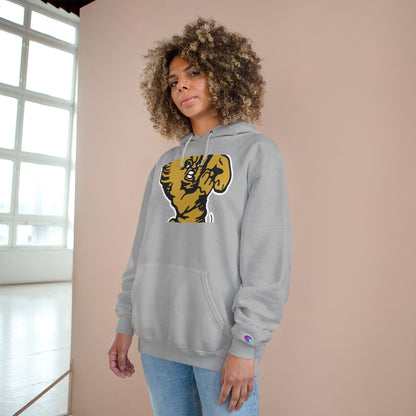 Champion Powerblend Fleece Pullover Hoodie