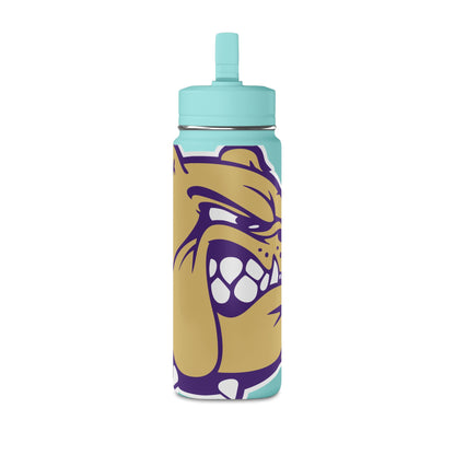 Mini Water Bottle, 20oz