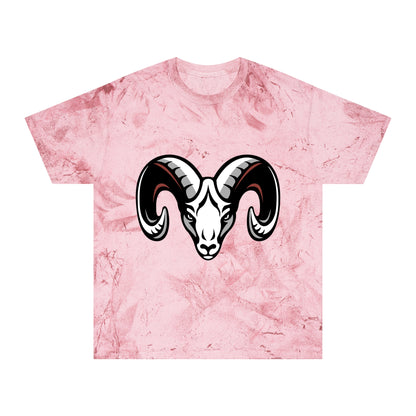 Color Blast School Spirit Tee