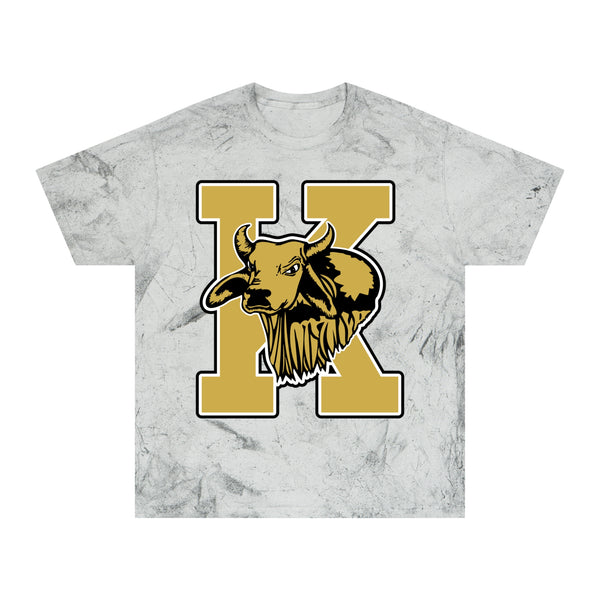 Color Blast School Spirit Tee