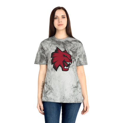 Color Blast School Spirit Tee