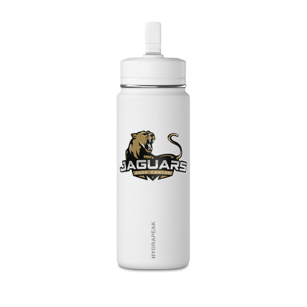Mini Water Bottle, 20oz