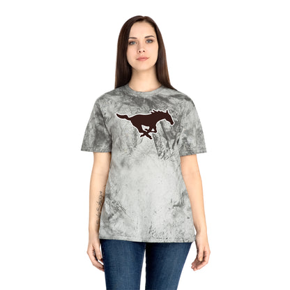 Color Blast School Spirit Tee