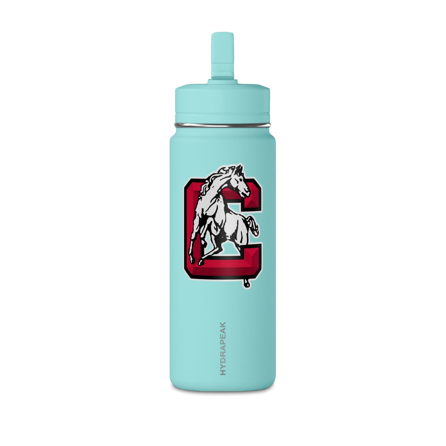 Mini Water Bottle, 20oz