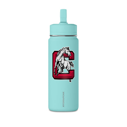 Mini Water Bottle, 20oz