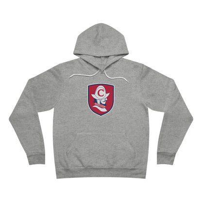 Sponge Fleece Pullover Hoodie