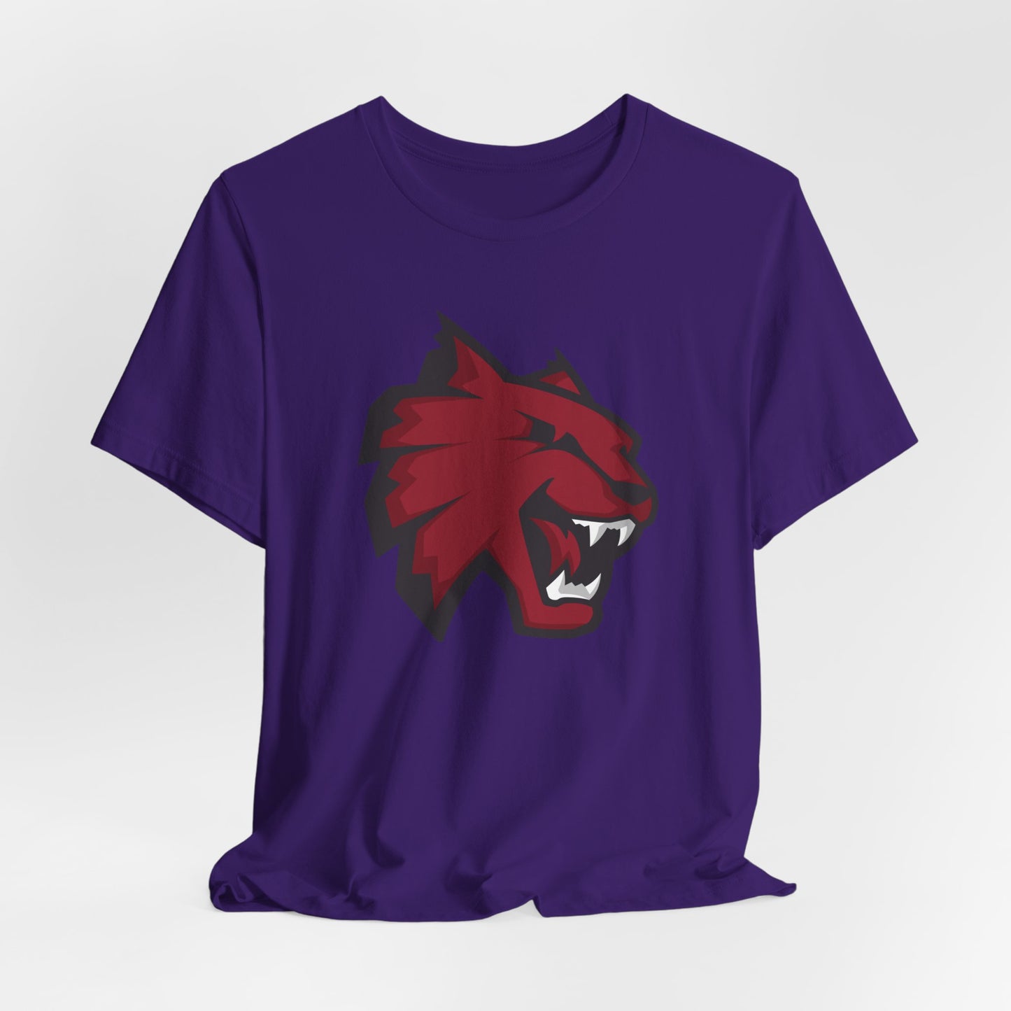 Jersey Short Sleeve Tee