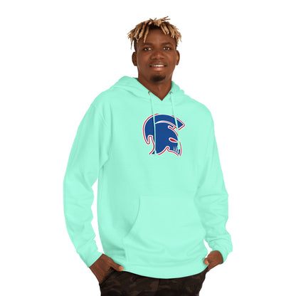 Midweight Pullover Hoodie
