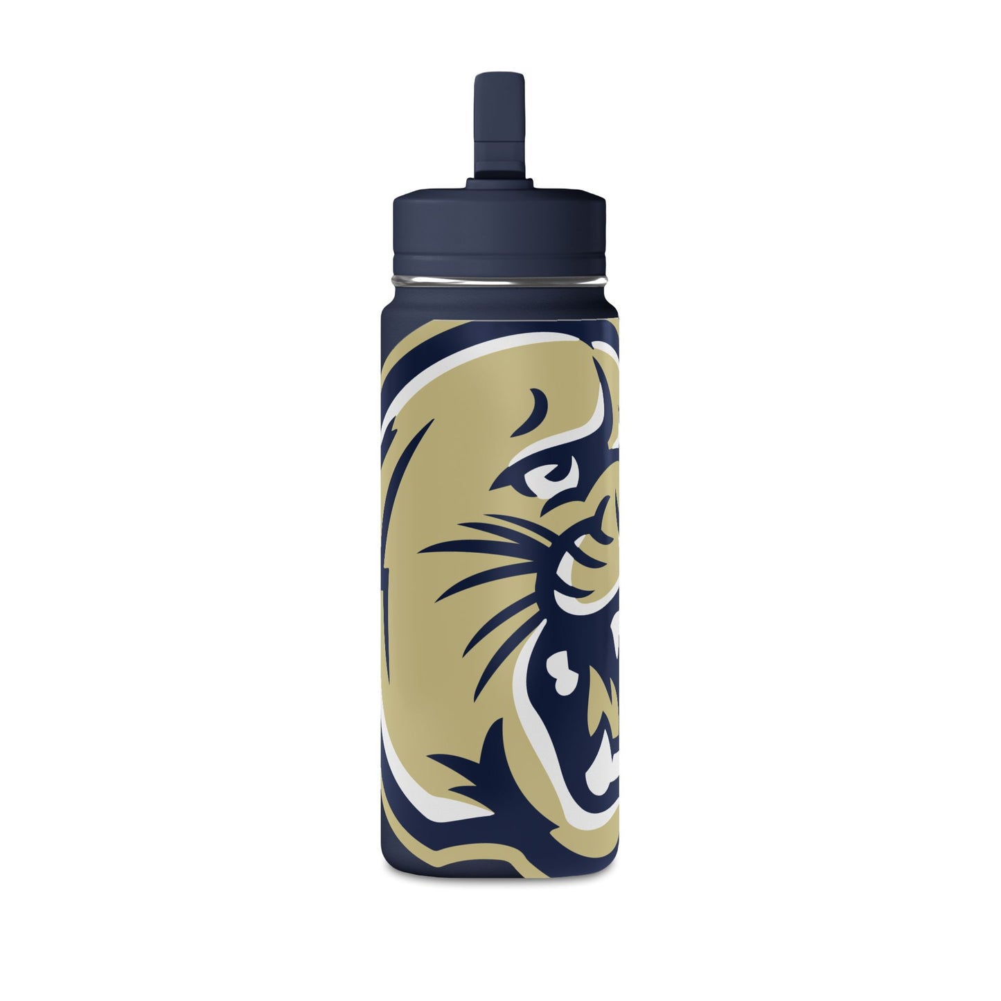 Mini Water Bottle, 20oz