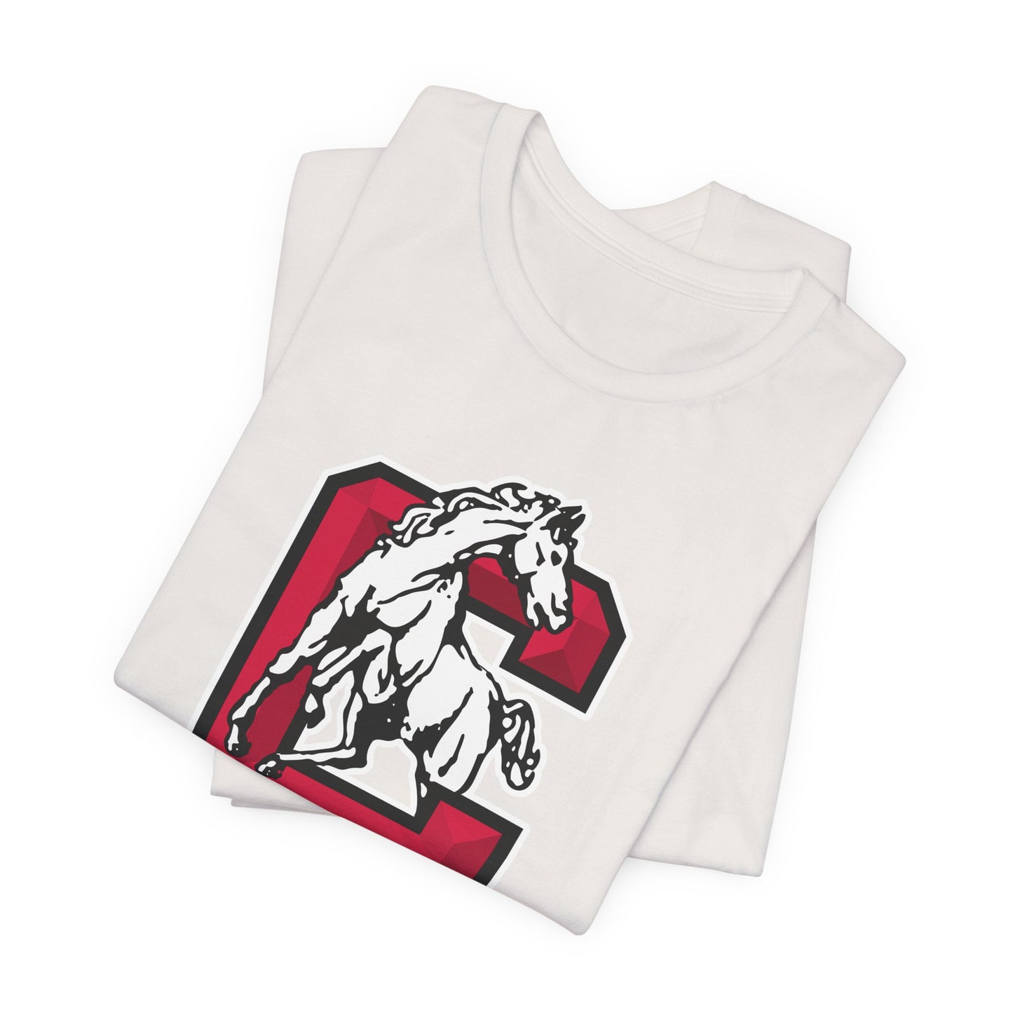 Jersey Short Sleeve Tee