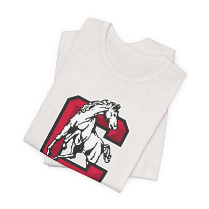 Jersey Short Sleeve Tee