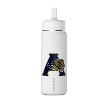 Mini Water Bottle, 20oz
