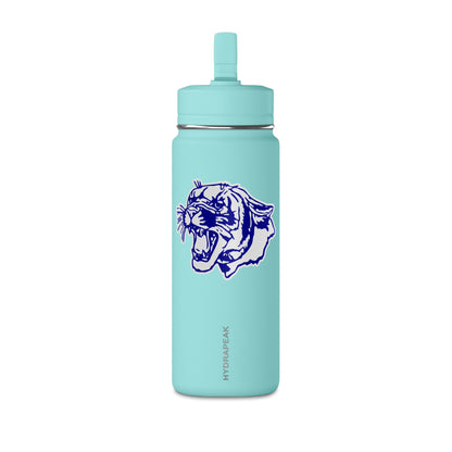 Mini Water Bottle, 20oz