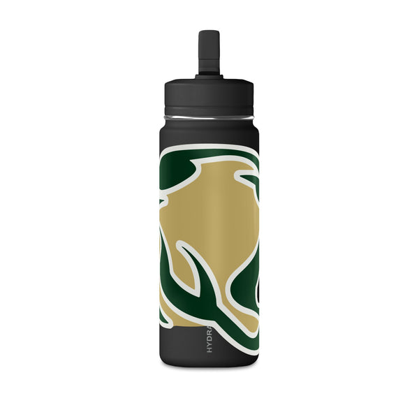 Mini Water Bottle, 20oz