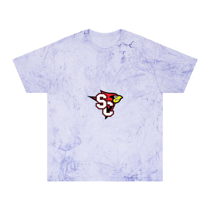 Color Blast School Spirit Tee