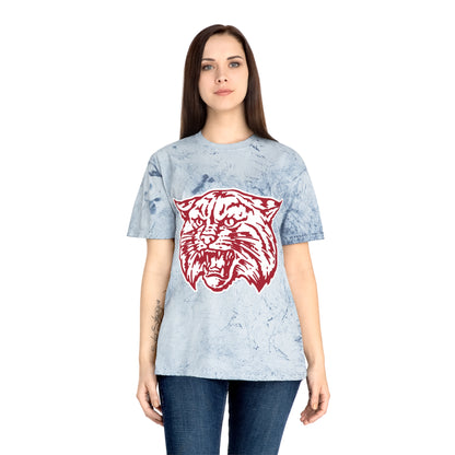 Color Blast School Spirit Tee