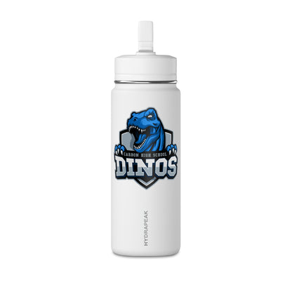 Mini Water Bottle, 20oz