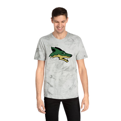 Color Blast School Spirit Tee
