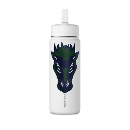 Mini Water Bottle, 20oz