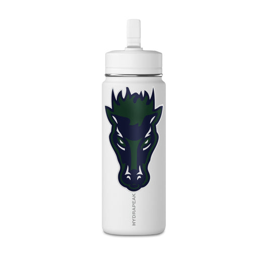 Mini Water Bottle, 20oz