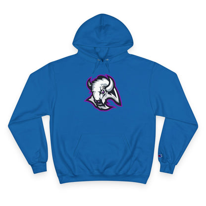 Champion Powerblend Fleece Pullover Hoodie