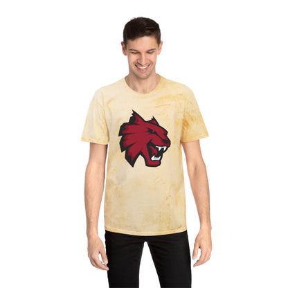 Color Blast School Spirit Tee