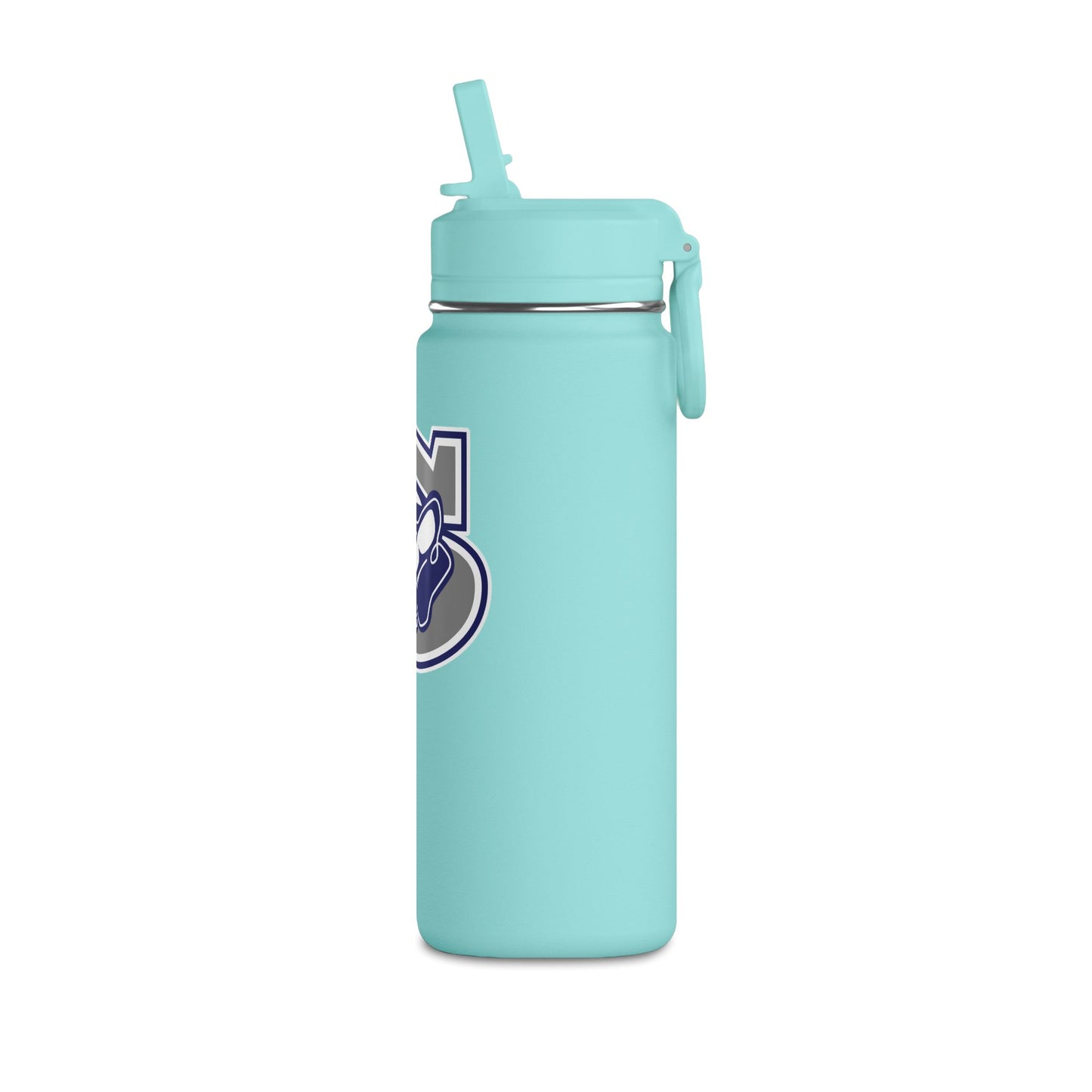 Mini Water Bottle, 20oz