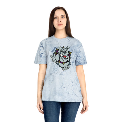 Color Blast School Spirit Tee