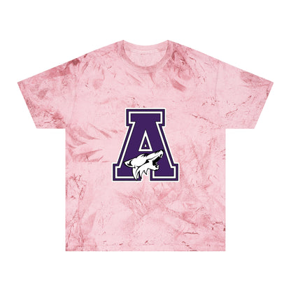 Color Blast School Spirit Tee