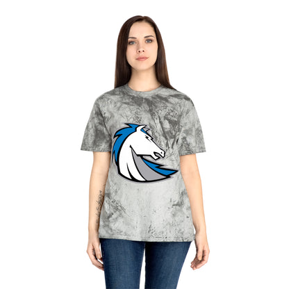 Color Blast School Spirit Tee