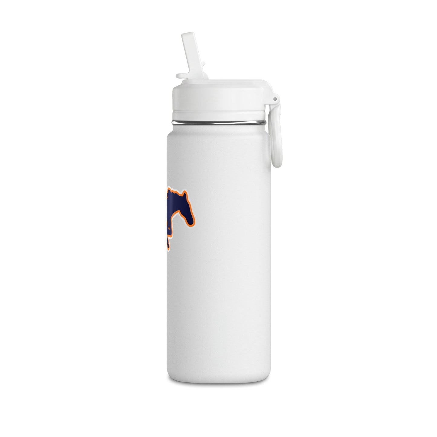 Mini Water Bottle, 20oz