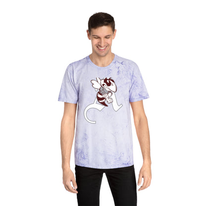 Color Blast School Spirit Tee