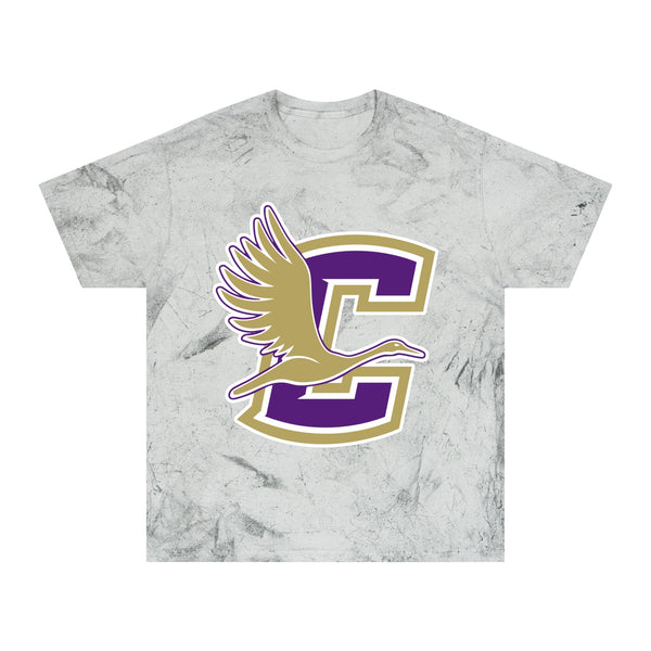 Color Blast School Spirit Tee