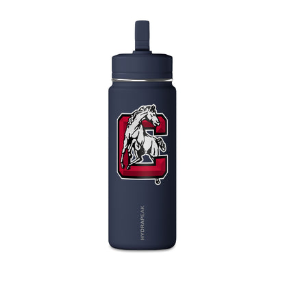 Mini Water Bottle, 20oz