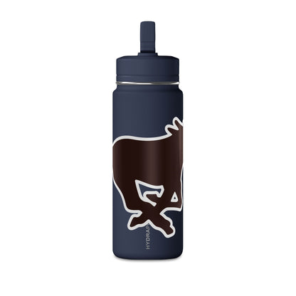 Mini Water Bottle, 20oz
