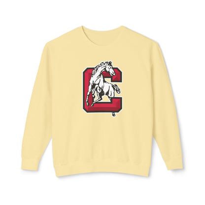 Lightweight Crewneck Sweatshirt