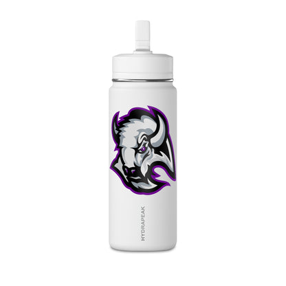 Mini Water Bottle, 20oz