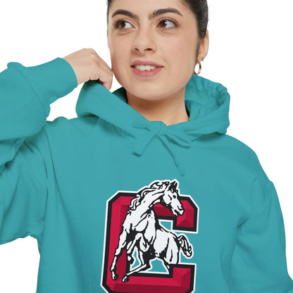 Heavyweight Garment-Dyed Hoodie