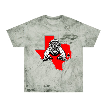 Color Blast School Spirit Tee