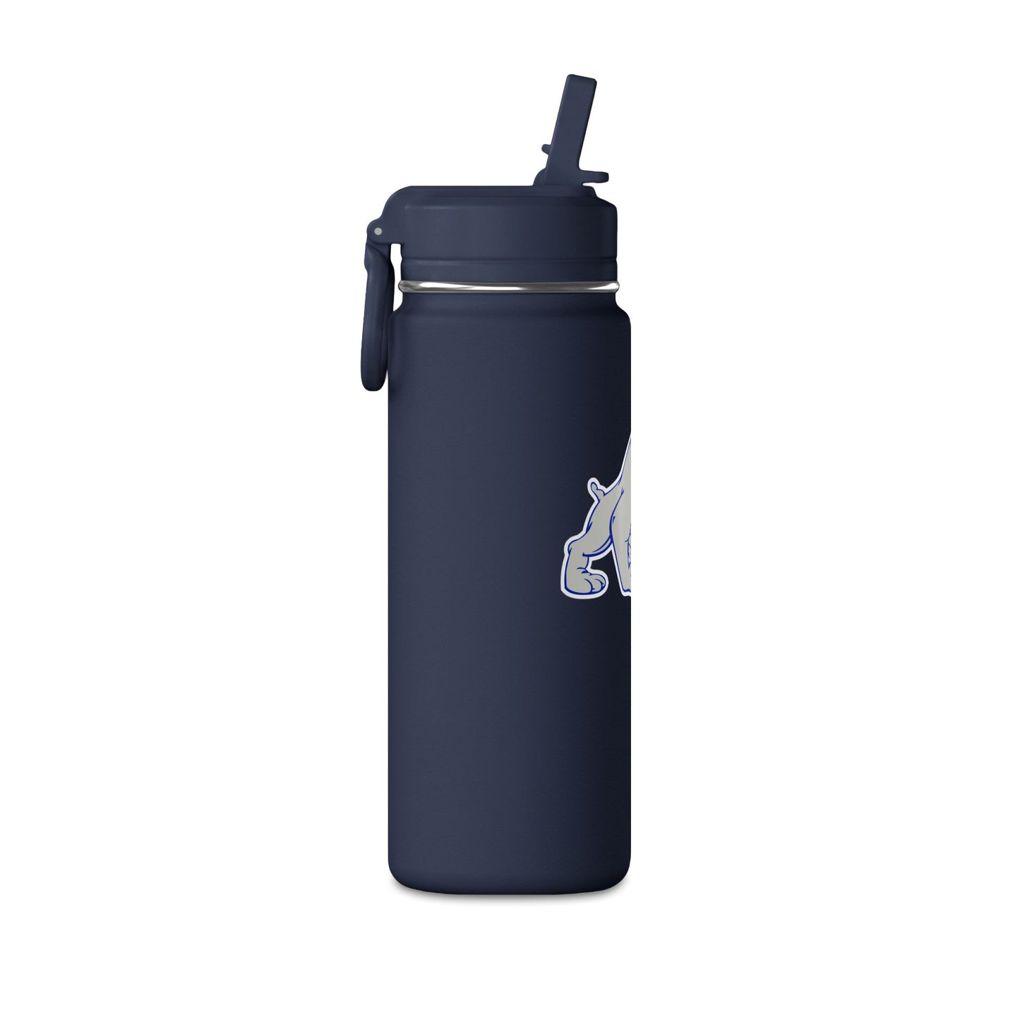Mini Water Bottle, 20oz