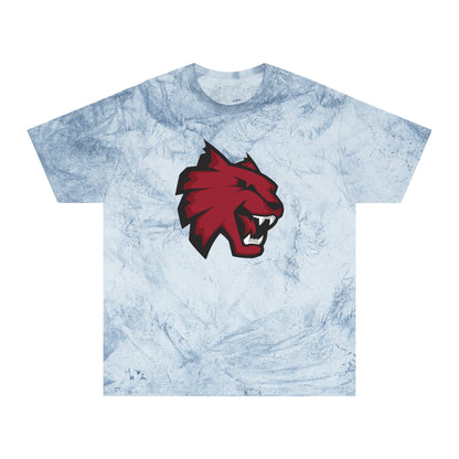 Color Blast School Spirit Tee